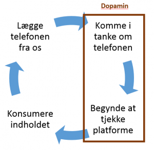 hvad udløser dopamin hvad udløser dopamin